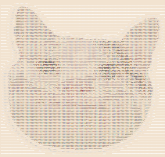 Uma foto de meme do Gato em arte ASCII